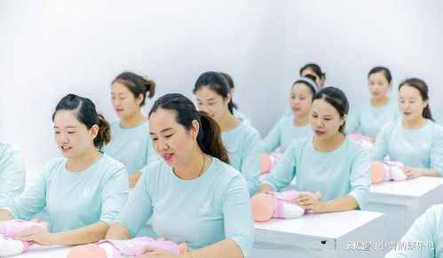 26天新生儿遭月嫂虐待, 家政行业的警钟为谁而鸣