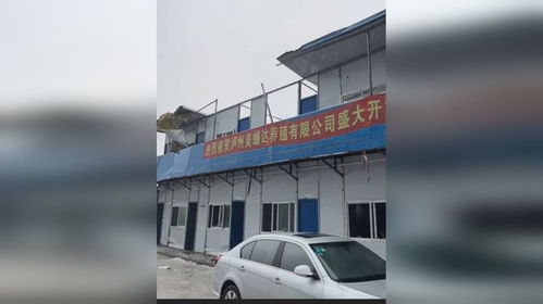 泸州特大冰雹,小伙蟑螂养殖厂屋顶被砸垮