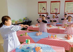 天津开发区优质月嫂服务推荐及泸州月嫂信息参考