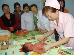 北京明年将添十万 猪宝宝 紧急培训持证月嫂